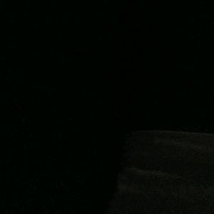 Meet your Posher, Bernard